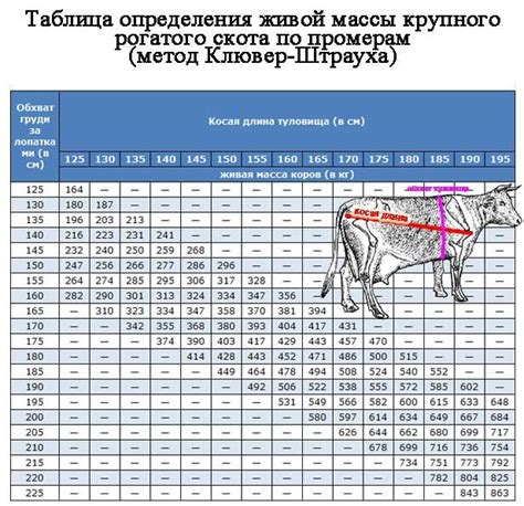 индикаторы веса крс